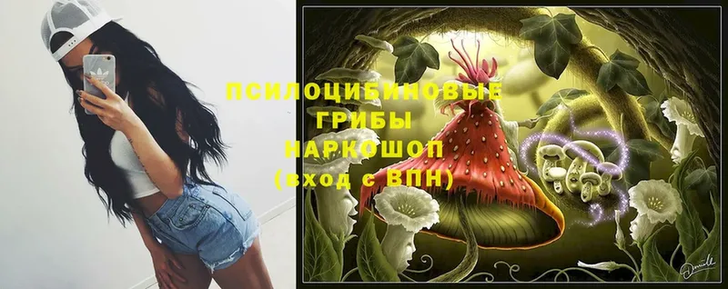 Галлюциногенные грибы мухоморы  Берёзовский 